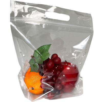 Zakken van de ritssluitings de Plastiek Gedrukte Ritssluiting met Logo Fruit Stand Up Pouch met Handvat