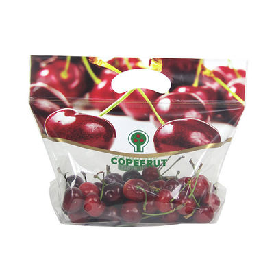PE Hitte - verbindingsfruit en Plantaardige Verpakkende Druiven Plastic Verpakkende Zakken